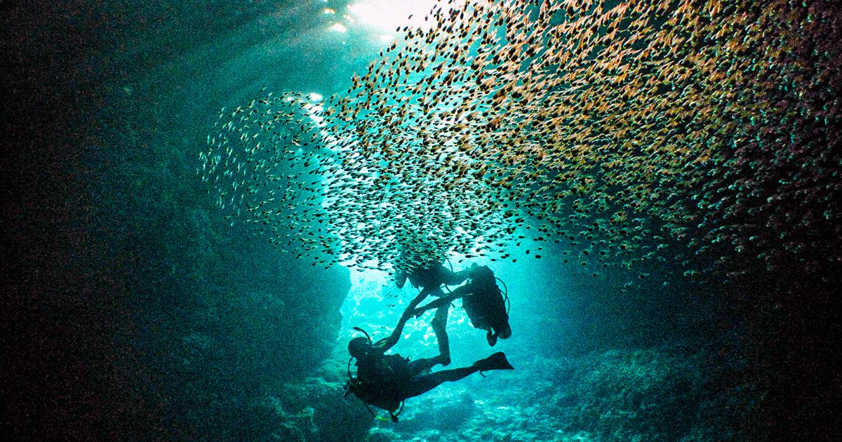 Okinawa Blue Cave Location & Best Season? Image