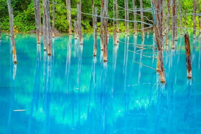 What is "Blue Pond" in Biei Town, Hokkaido?