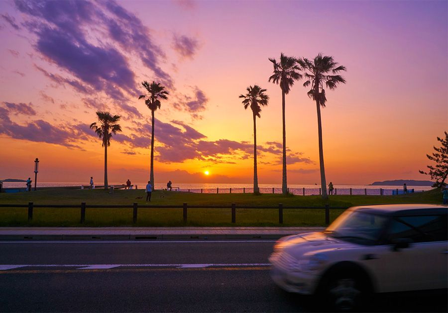 千葉　房総半島　観光　モデルコース　日帰りドライブ　北条海岸　ヤシの木　椰子と夕日　サンセット