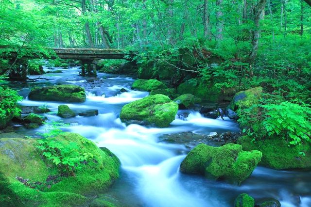 死ぬまでに行きたい場所 絶景 青森 奥入瀬渓流