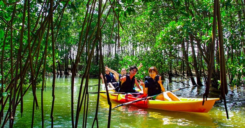 Tell us what you look like and what to wear when you enjoy canoeing and kayaking! Introducing mangrove kayaks