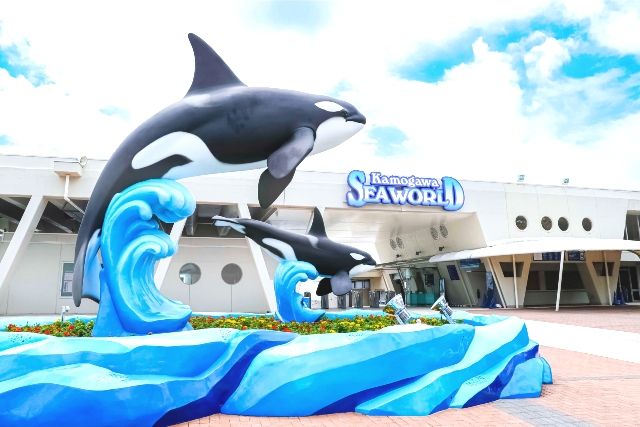 Kamogawa Sea World