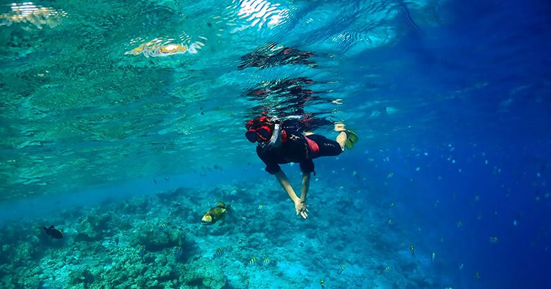 What are the secret snorkeling spots in Chiba? Introducing recommended tours and popular plan rankings! Image of
