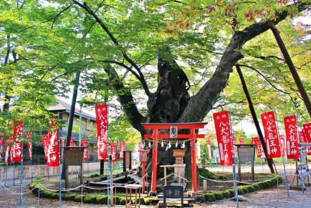 Chichibu Imamiya Shrine