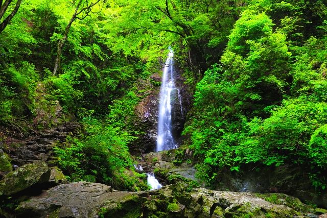 秩父多摩甲斐国立公園　払沢の滝