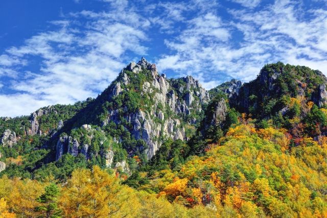 秩父多摩甲斐国立公園　瑞牆山　秋の紅葉