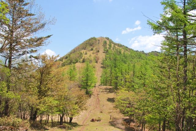 秩父多摩甲斐国立公園　笠取山