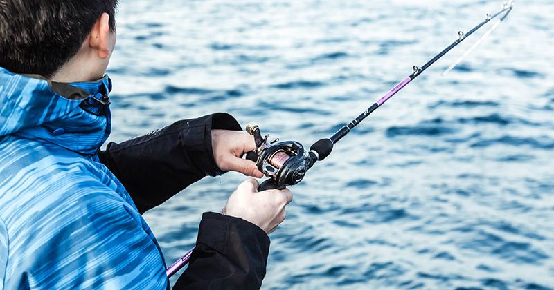 What is the best fishing gear and best season for black porgy fishing?