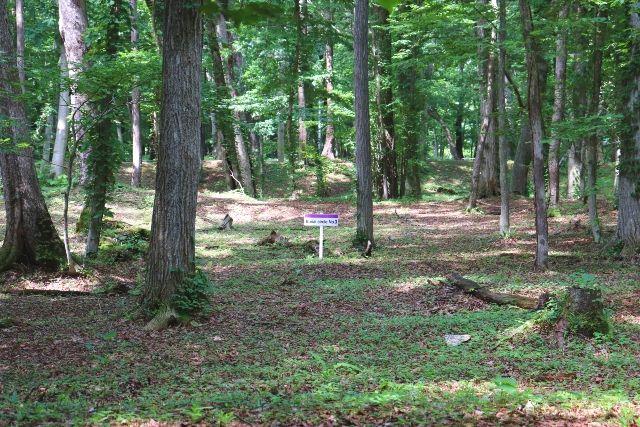 Hokkaido Kiusu Dyke Tomb Group