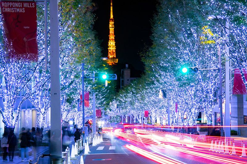 欅坂燈飾 東京鐵塔