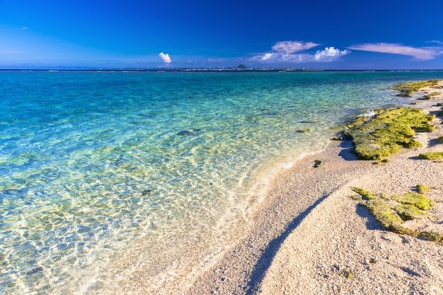 美ら海水族館周辺　観光スポット　瀬底島　美しいビーチ