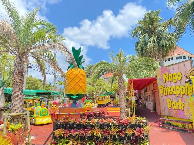 美ら海水族館周辺　観光スポット　ナゴパイナップルパーク