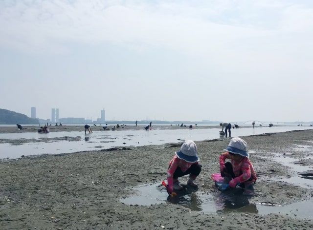 孩子們在享受挖蛤蜊的樂趣