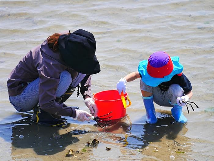 Recommended clothes for clamming experience