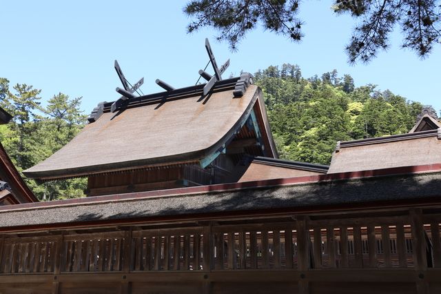 ห้องโถงหลักของศาลเจ้าอิซุโมไทฉะ