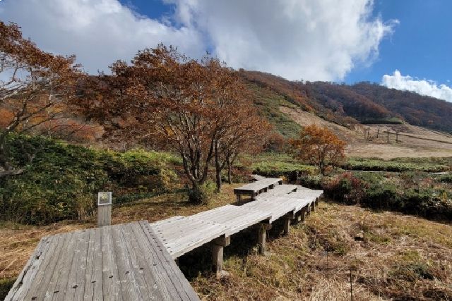 จุดเริ่มต้นเส้นทางเดินป่า Elephant Mountain และรีสอร์ทสกีฤดูใบไม้ร่วง