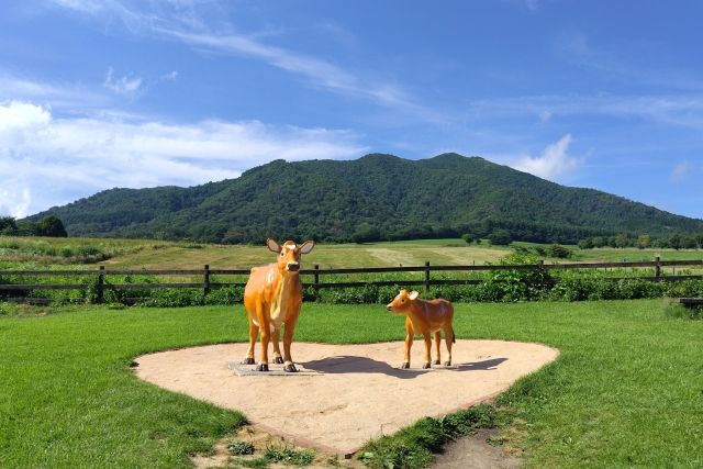 คำอธิบาย