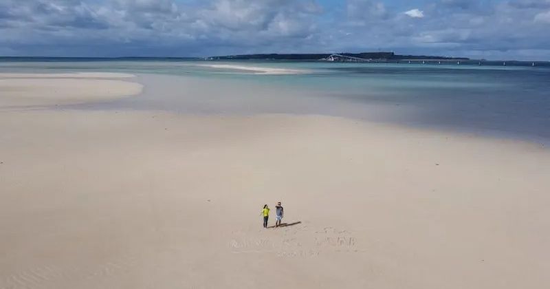 荒島遊│全面介紹關東、關西、沖繩的推薦行程!