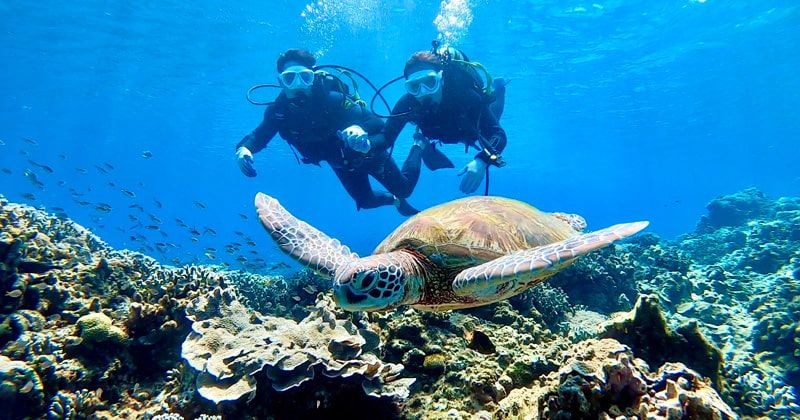 冲绳5个推荐潜水地点及初学者旅游团人气排名