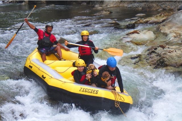 Gunma Minakami "ZIGGIES ADVENTURE JAPAN" People enjoying rafting with their pet dogs