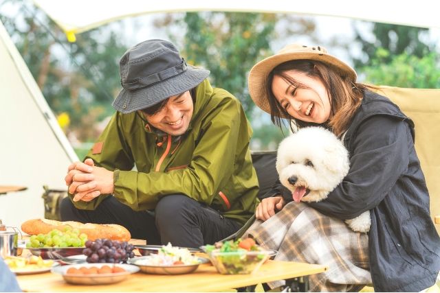 Couples enjoying camping with their dogs