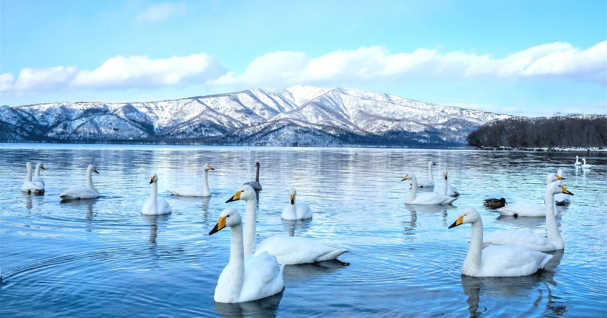 北海道・道東のおすすめ観光スポット！定番＆穴場・モデルコースを紹介