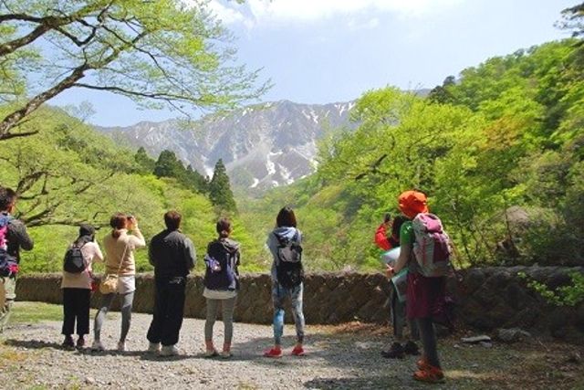 鳥取・大山　トレッキングツアー　「一般社団法人大山観光局　大山ツアーデスク」