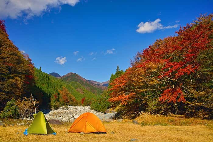 Enjoy nature at the autumn camp!