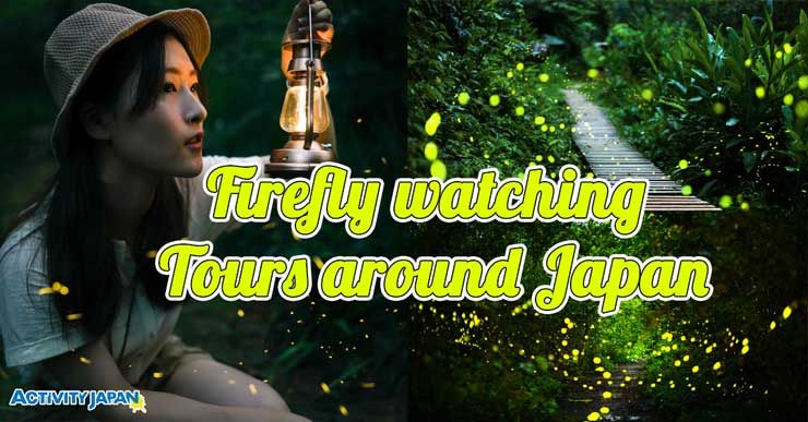 Watch a Quiet Video of Glowing Synchronous Fireflies - Nerdist