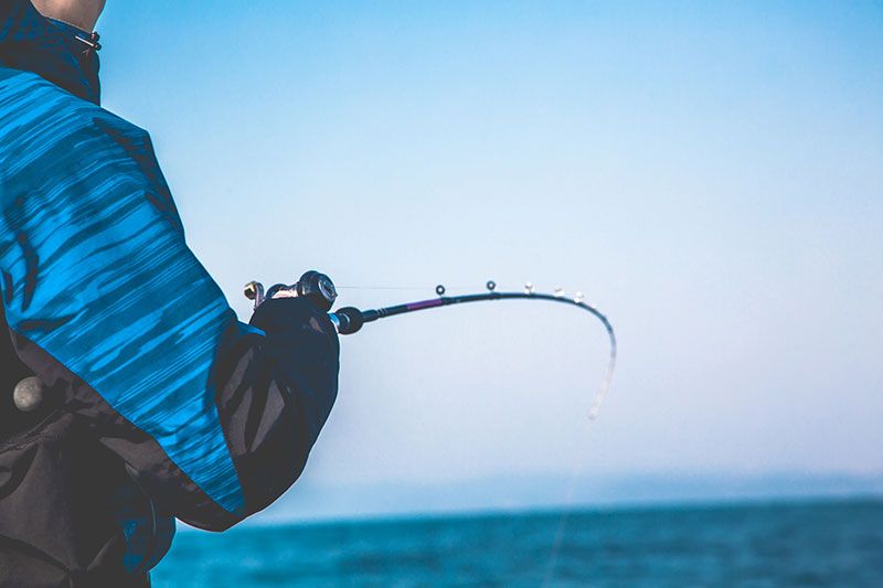 相模灣能釣到什麼魚？釣魚日曆以及適合初學者的海釣和漁船推薦旅遊路線