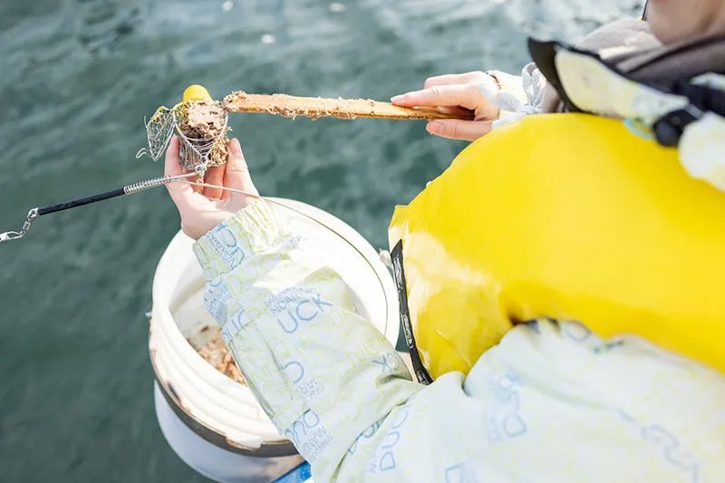 อันดับความนิยมในการตกปลาทะเล/เรือตกปลาของโตเกียว│แนะนำสำหรับผู้เริ่มต้นและเด็ก! คำแนะนำอย่างละเอียดเกี่ยวกับประสบการณ์ทัวร์ที่คุณสามารถเข้าร่วมมือเปล่าได้!