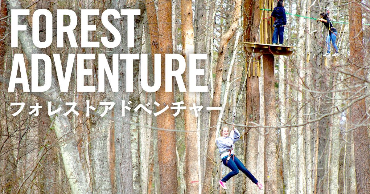 Information about experience, dress, belongings of forest adventure