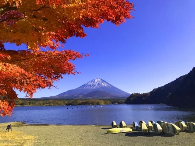 富士箱根伊豆国立公園 観光スポット 遊び レジャー特集 | アクティビティジャパン