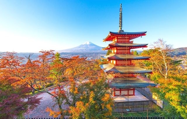 山梨「途易集団日本株式会社」 日帰りバスツアーの様子 新倉山浅間公園 秋の紅葉と富士山 五重塔
