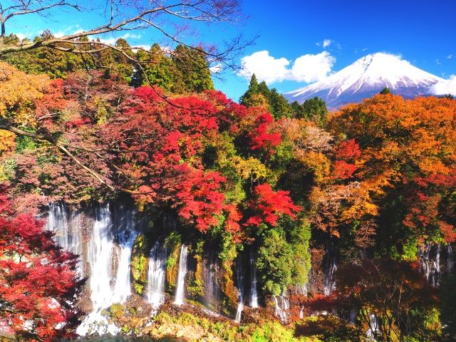 静岡 秋の紅葉 白糸の滝と富士山