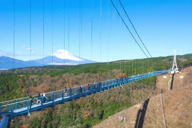 静岡 絶景 三島スカイウォークと富士山