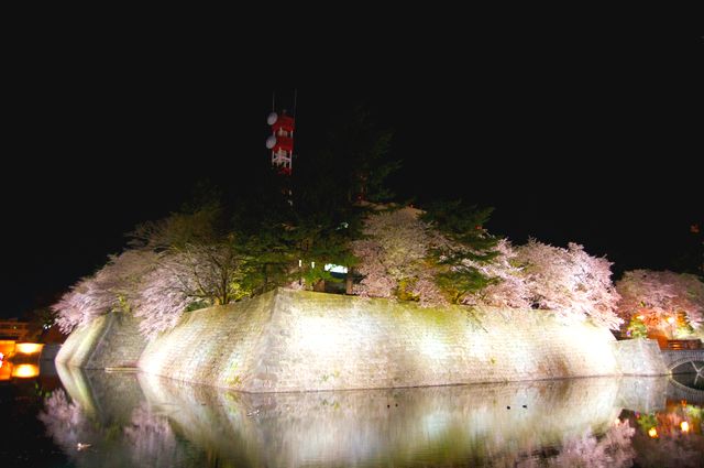 Illumination of the moat and cherry blossoms at Fukui Castle Ruins