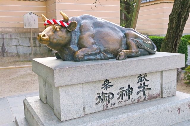 The sacred cow of Dazaifu Tenmangu Shrine