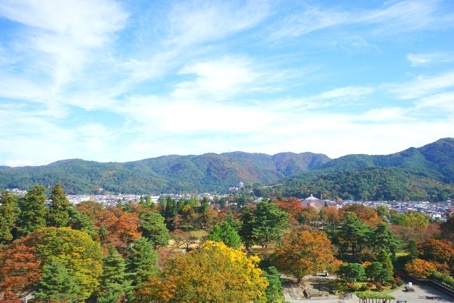 The view from the Tsuruga Castle observation deck