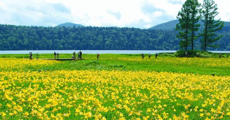 [Around Mt. Bandai/Lake Inawashiro] Introducing spectacular activities in Fukushima Prefecture! Image of
