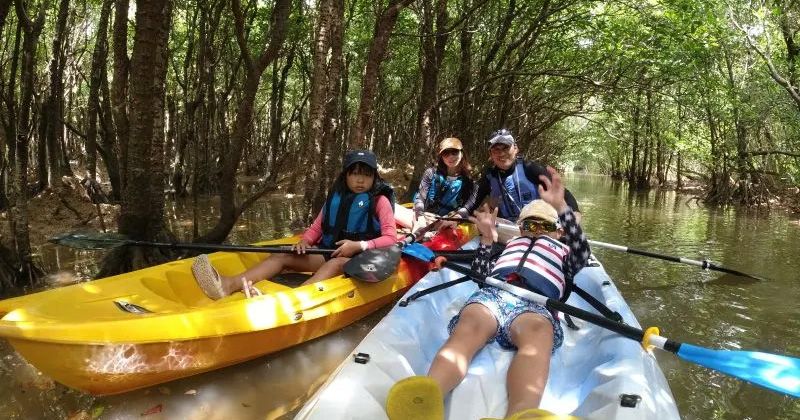 Gesashi River Mangrove Canoe/Kayak Tour Recommended Plans & Reviews Images