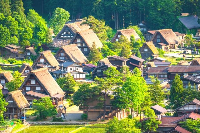 巴士旅遊“Air Choice株式會社“白川鄉巴士之旅