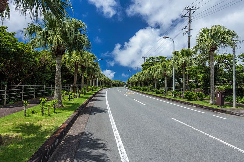 How do I get to Hachijojima? Which is cheaper: plane or boat/ferry?