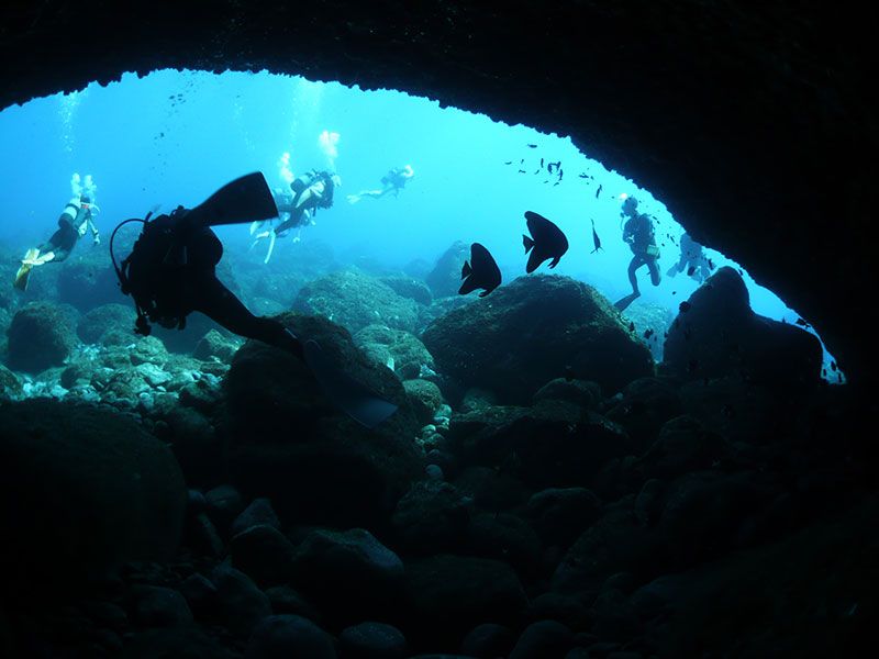 Hachijojima Diving Spots