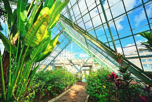 北海道,函館:隱藏的瑰寶“函館市熱帶植物園”