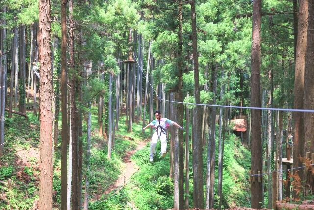 Forest Adventure Odawara