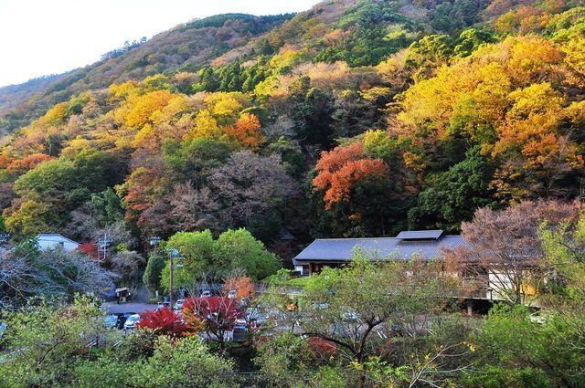 Tenzan Toji Village