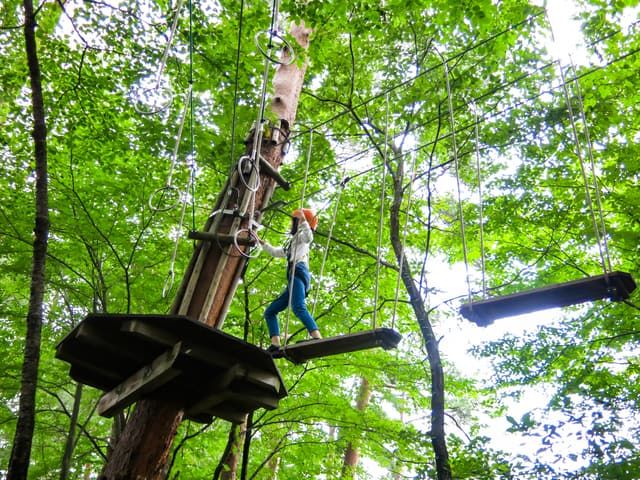 Hakone　人気スポット　子供と楽しむ　Forest Adventure Hakone