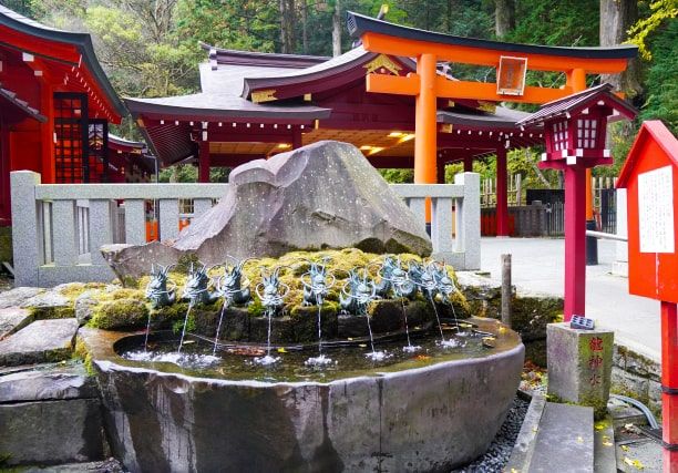 하코네　観光スポット　九頭龍神社　新宮　하코네 신사右隣　霊水　龍神水　恋愛運にご利益あり　女性に大人気　안산 삼나무　安産祈願　パワースポット