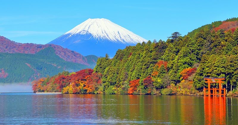 箱根的經典景點和隱藏的旅遊景點及推薦體驗 秋天的樹葉蘆之湖 富士山 和平鳥居